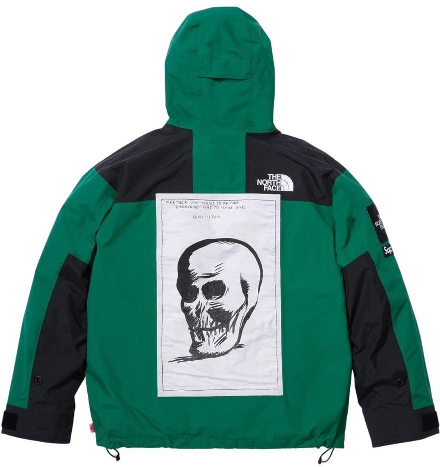 Supreme®/The North Face® Mountain Jacket view 14